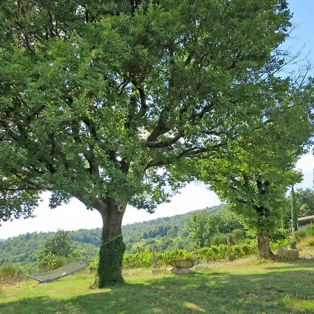 Podere Casidote By Interhome Casa vacanze Montieri